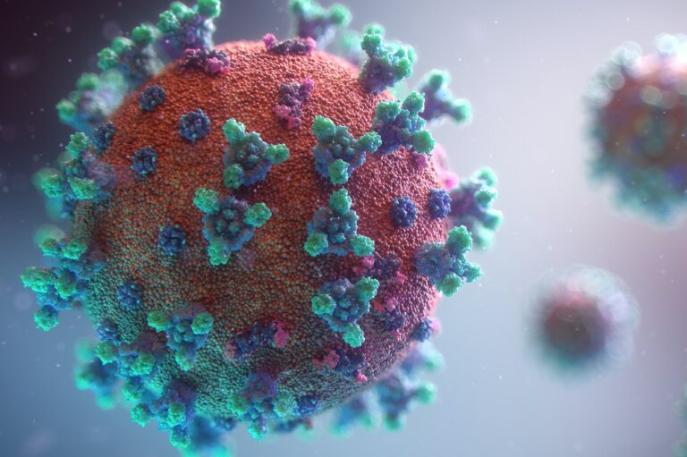 fusion-medical-animation-rnr8D3FNUNY-unsplash
