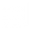 Conexionistas